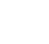 Dolphin Holidays -logo